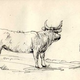 Illustration for article titled This Geological Field Notebook is An Elegant Look at Mountain-Building